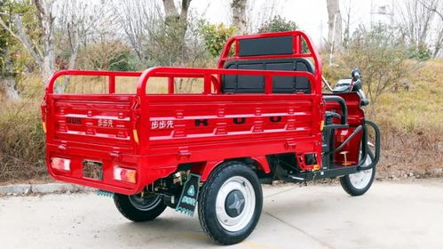 宗申戰虎 金彭祥龍 淮海力霸這些家用電動三輪車,你更看好誰